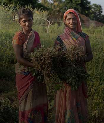 Education, Livelihood and Sustainability